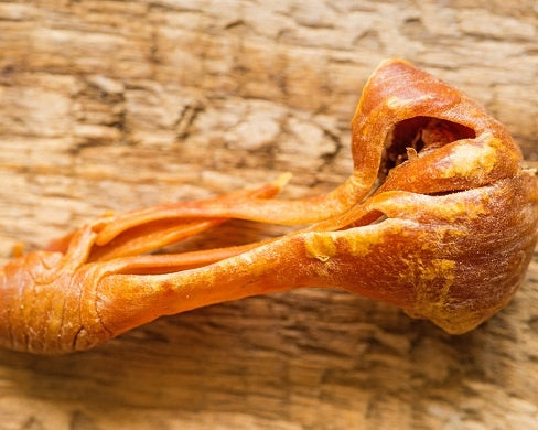 Was ist Macisblüte?