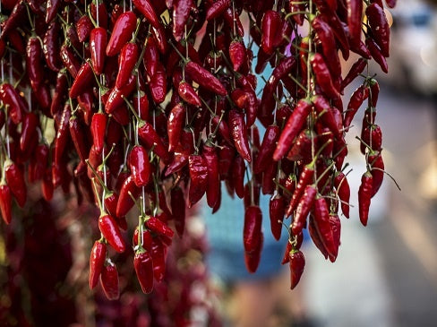 Was ist Piment d'Espelette?