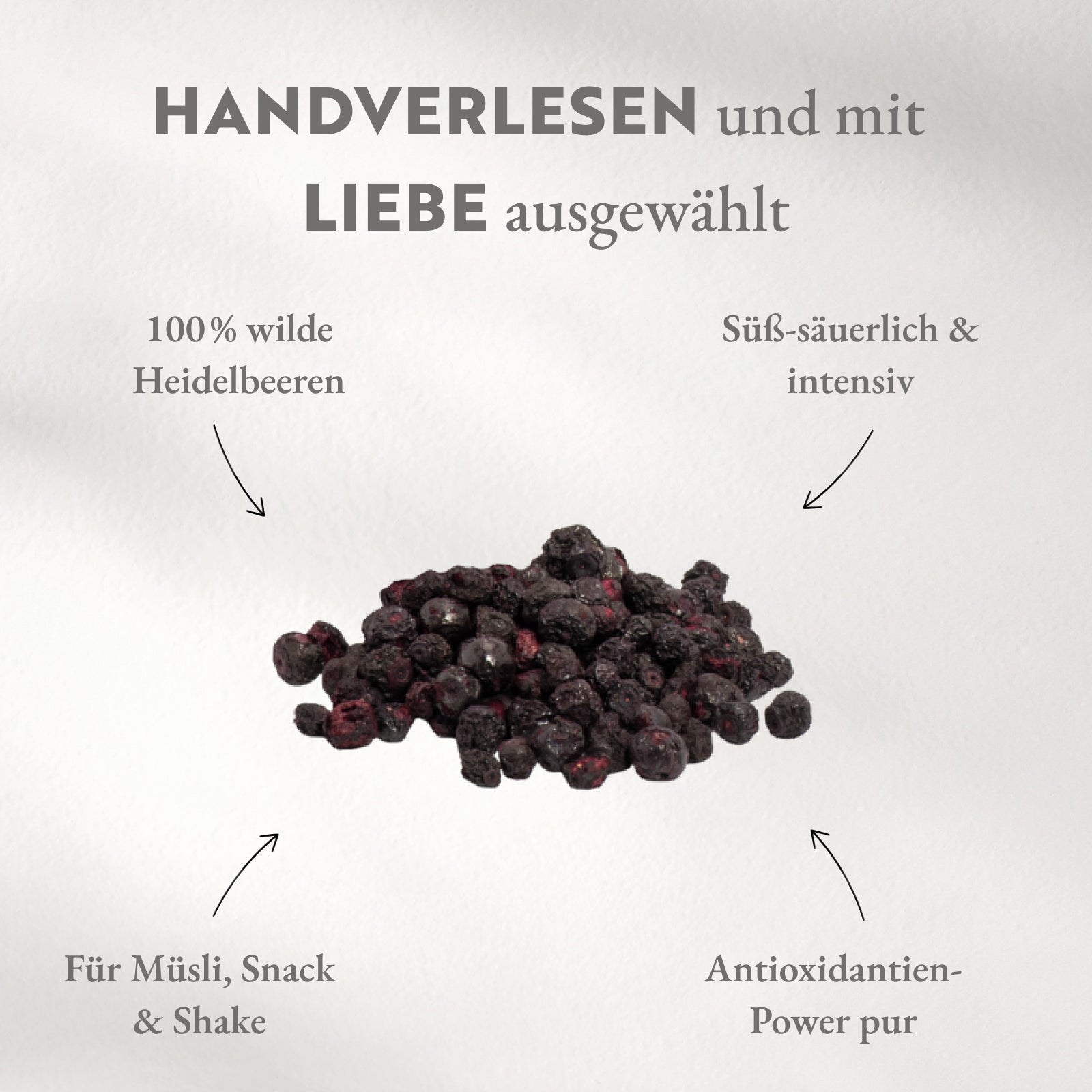 Blaubeeren aus Wildwuchs BIO, ganze gefriergetrocknete Früchte