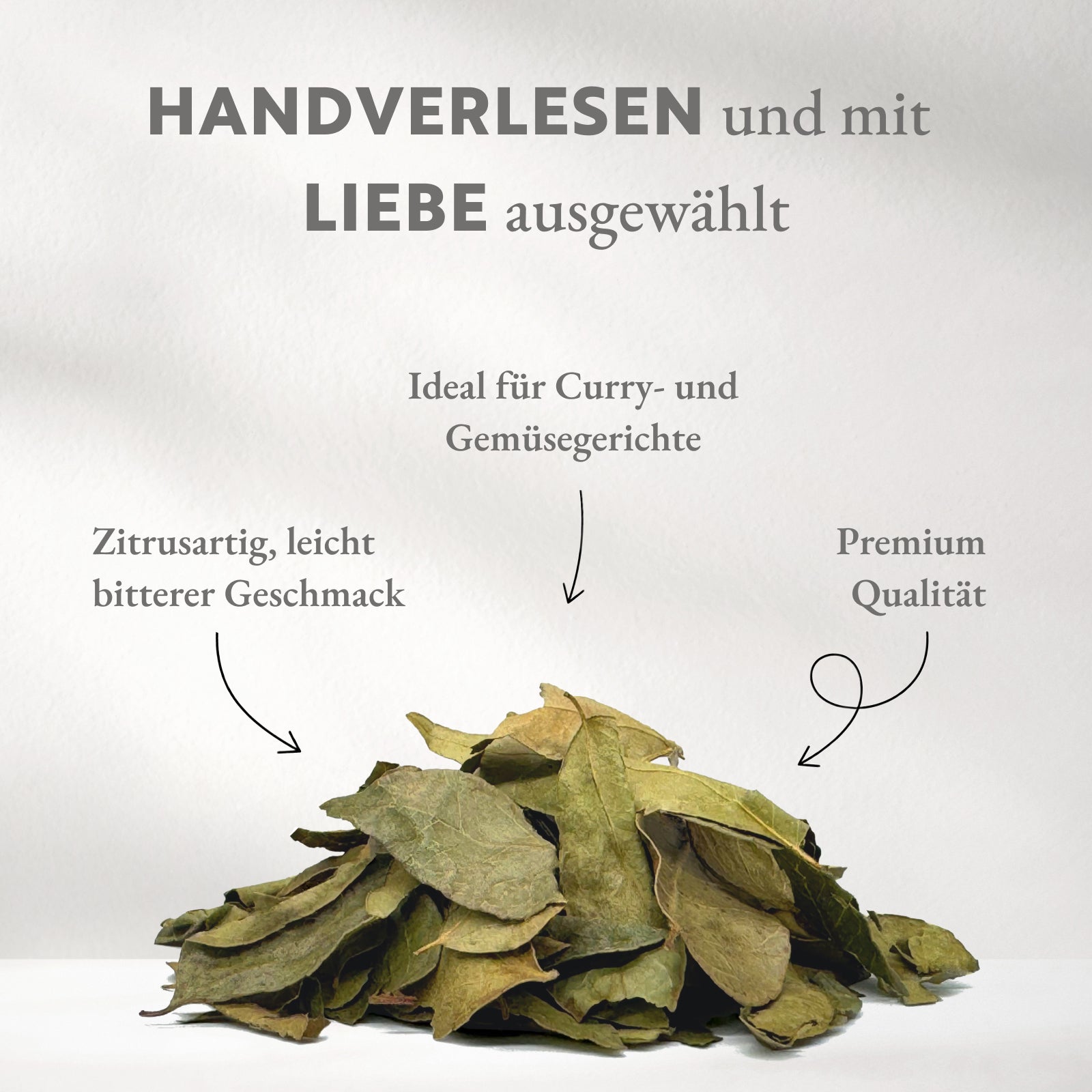 Curryblätter BIO