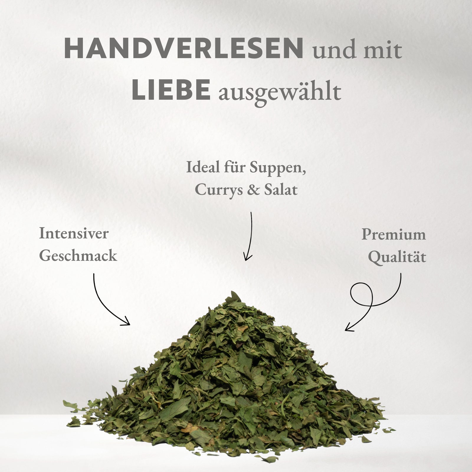 Korianderblätter
