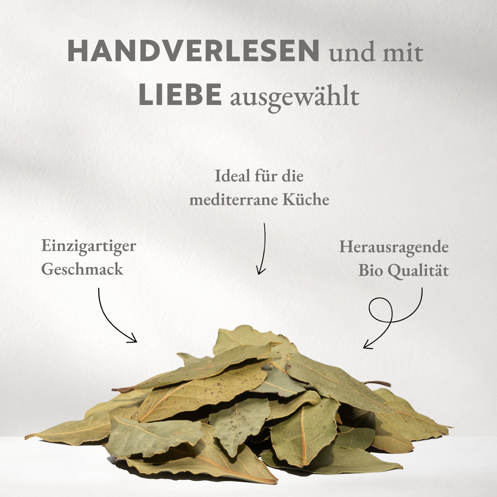Lorbeerblätter BIO