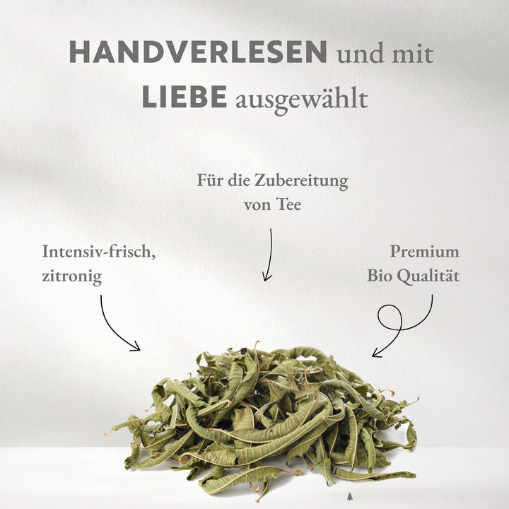 Französisches Eisenkraut "Zitronenverbene" in BIO