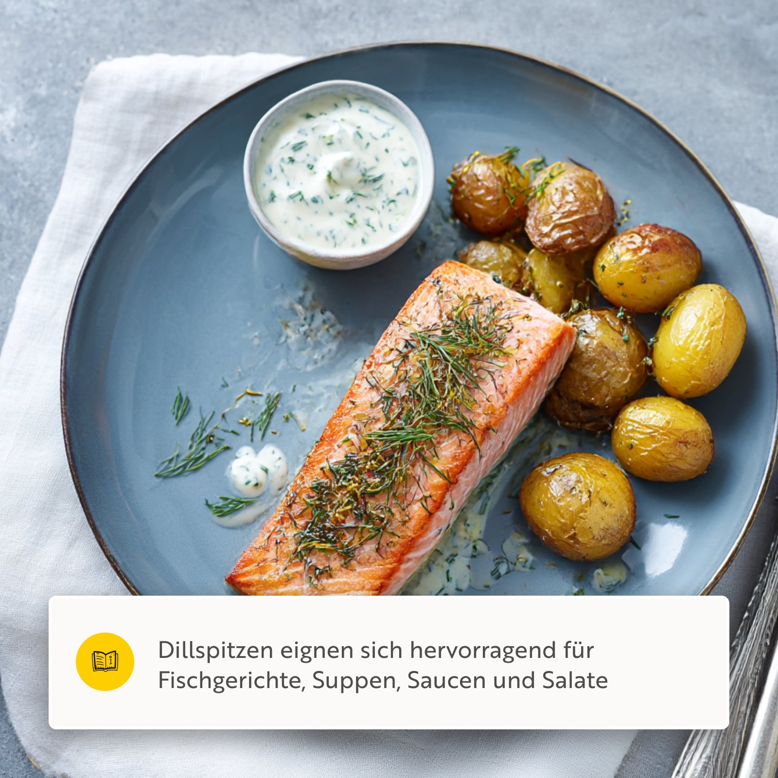 Dillspitzen BIO