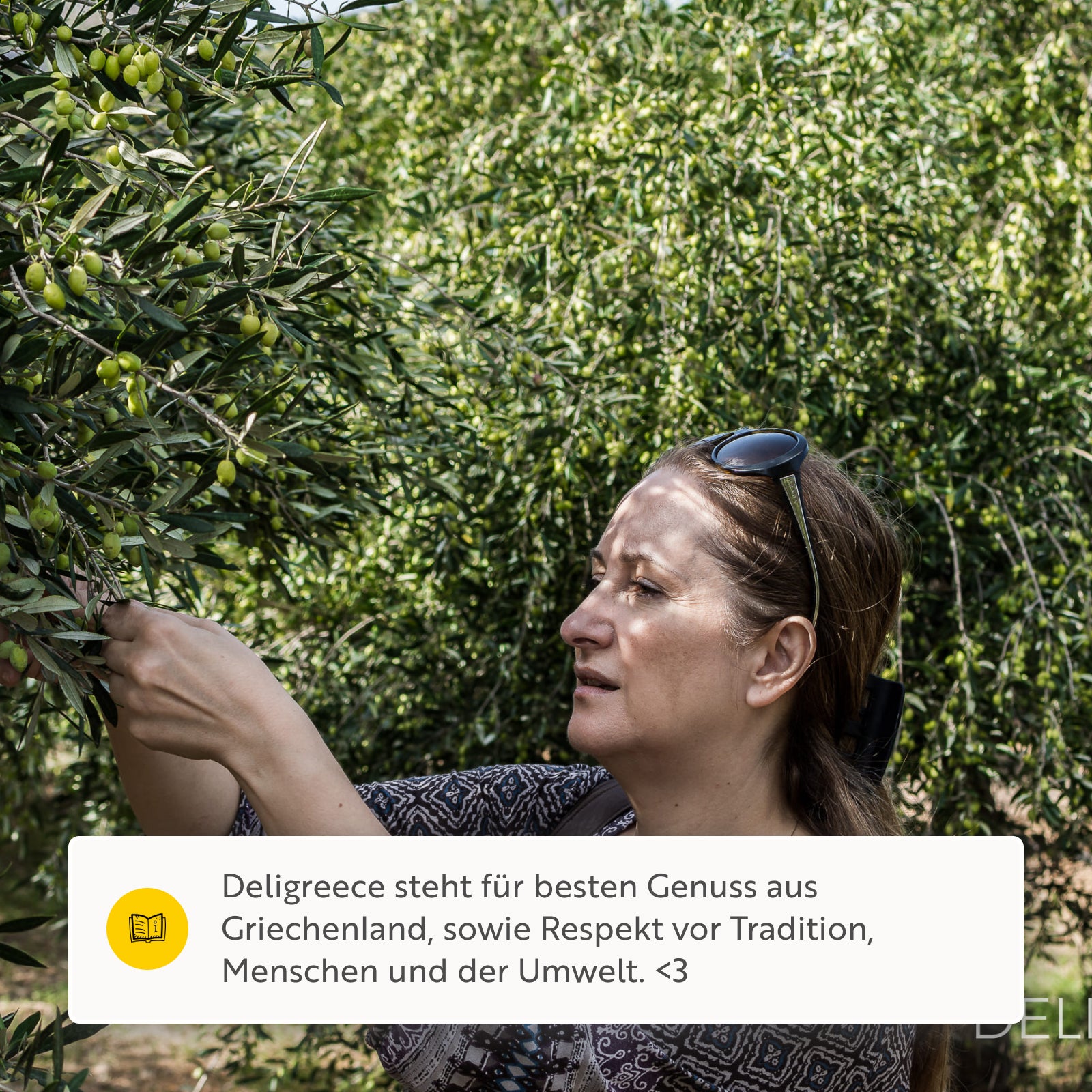 Olivenöl ARISTAEUS, extra natives Olivenöl aus Kaltextraktion