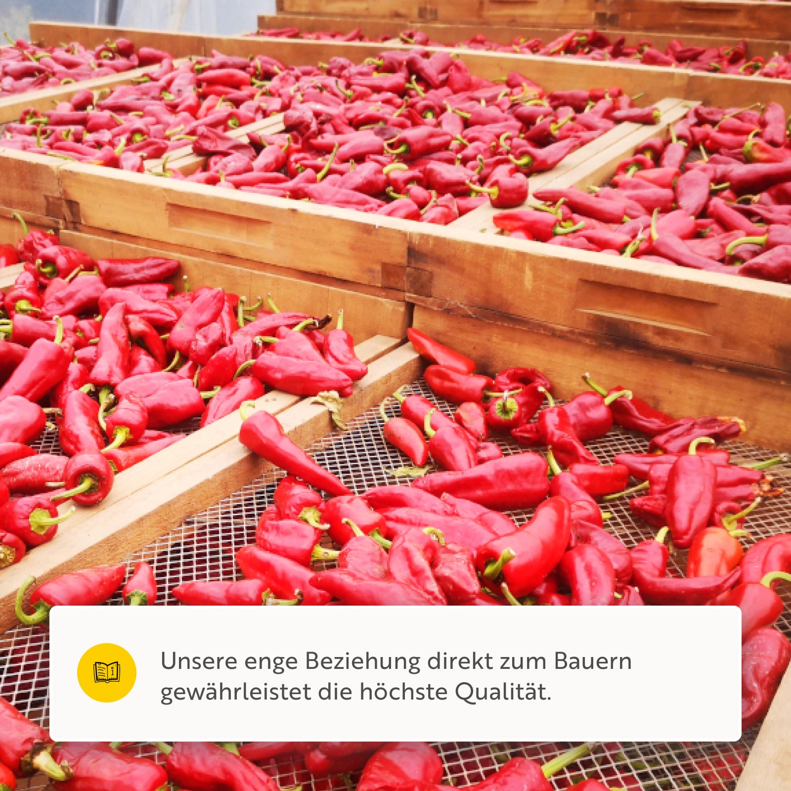 Piment d' Espelette AOP original Darguy