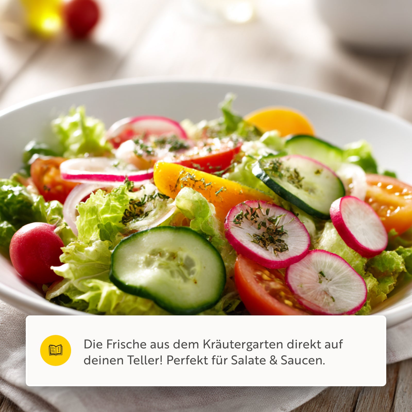 Salatkräuter, Gewürzmischung