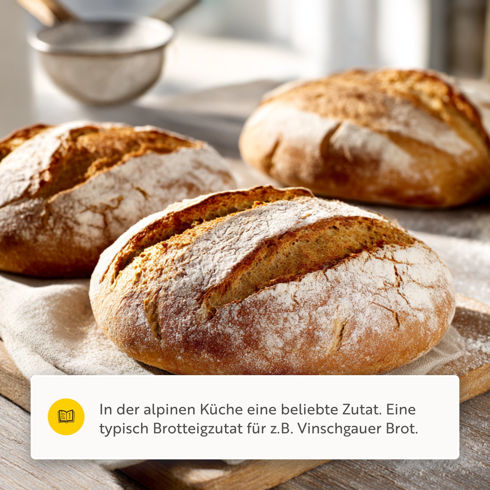 Schabzigerklee