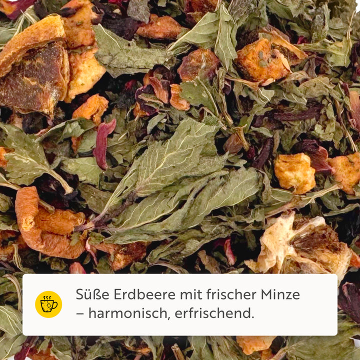 Erdbeere liebt Minze Früchtetee