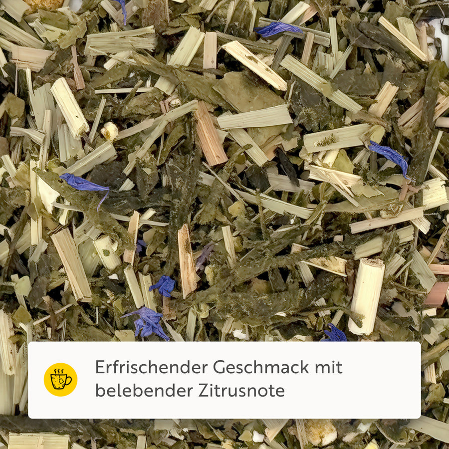 Fitnesstee Grüntee BIO