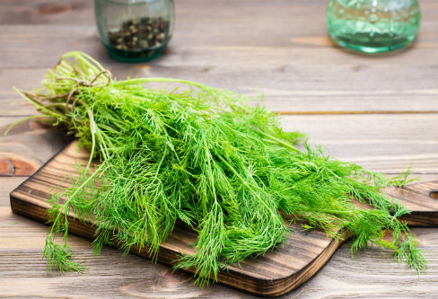 Was ist Dill?