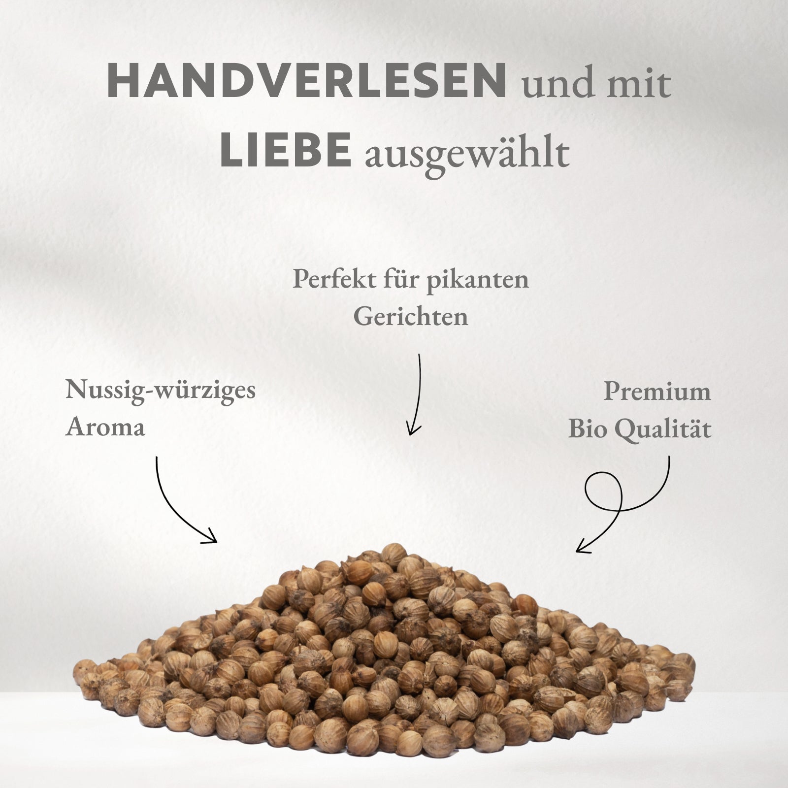 Koriander BIO, ganz