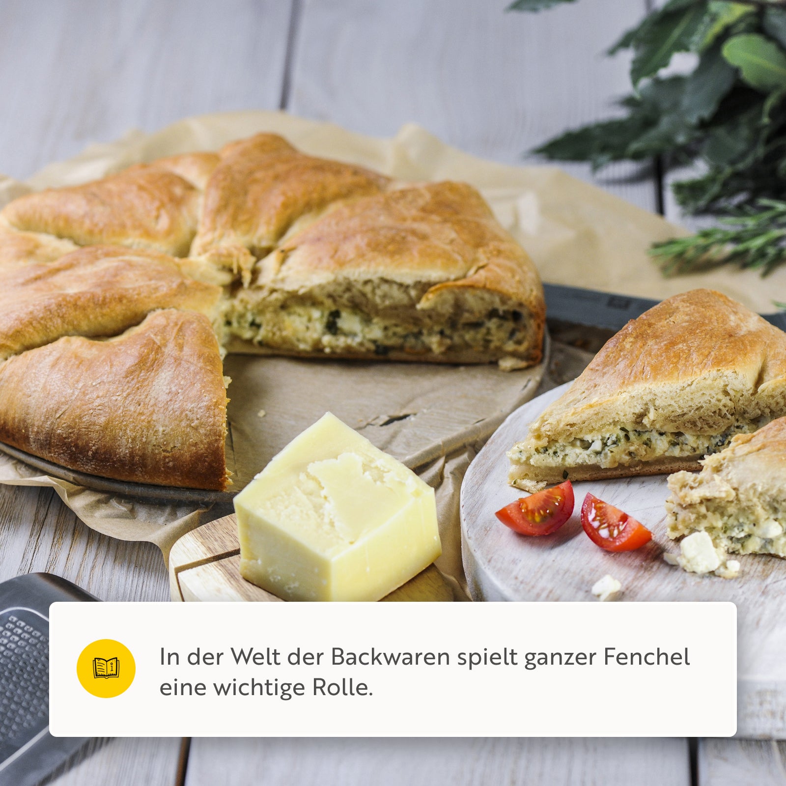 Fenchel BIO, ganze Samen