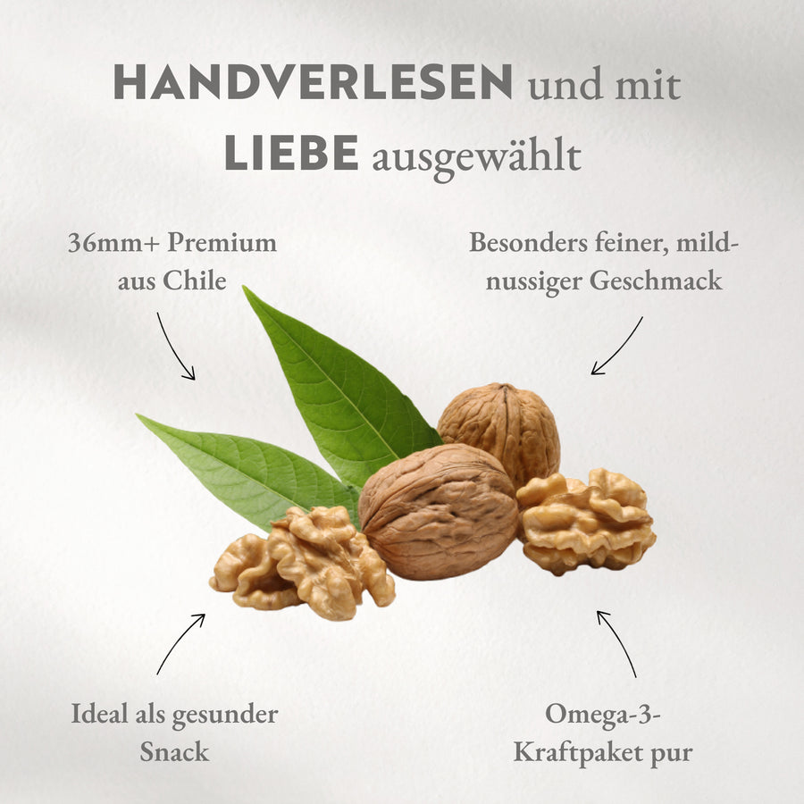 Walnüsse 36mm+ mit Schale, Premium Qualität aus Chile | Neue Ernte 2025